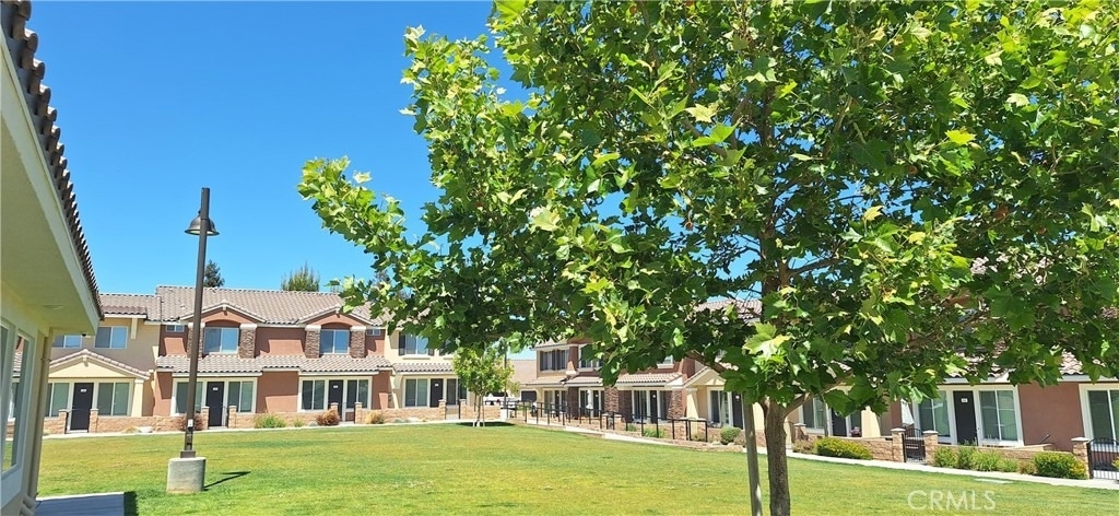 16852 Muscatel - Photo 5