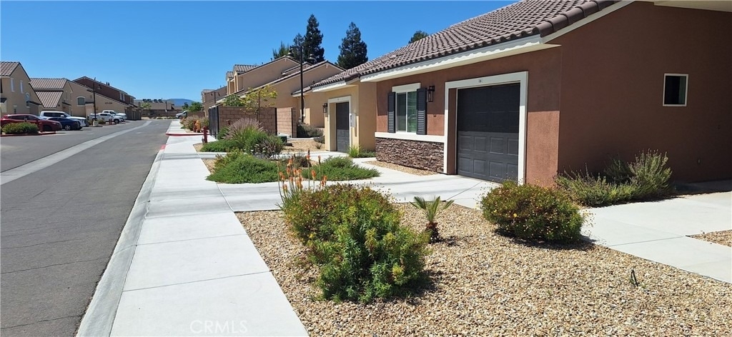 16852 Muscatel - Photo 3