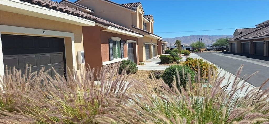 16854 Muscatel - Photo 24