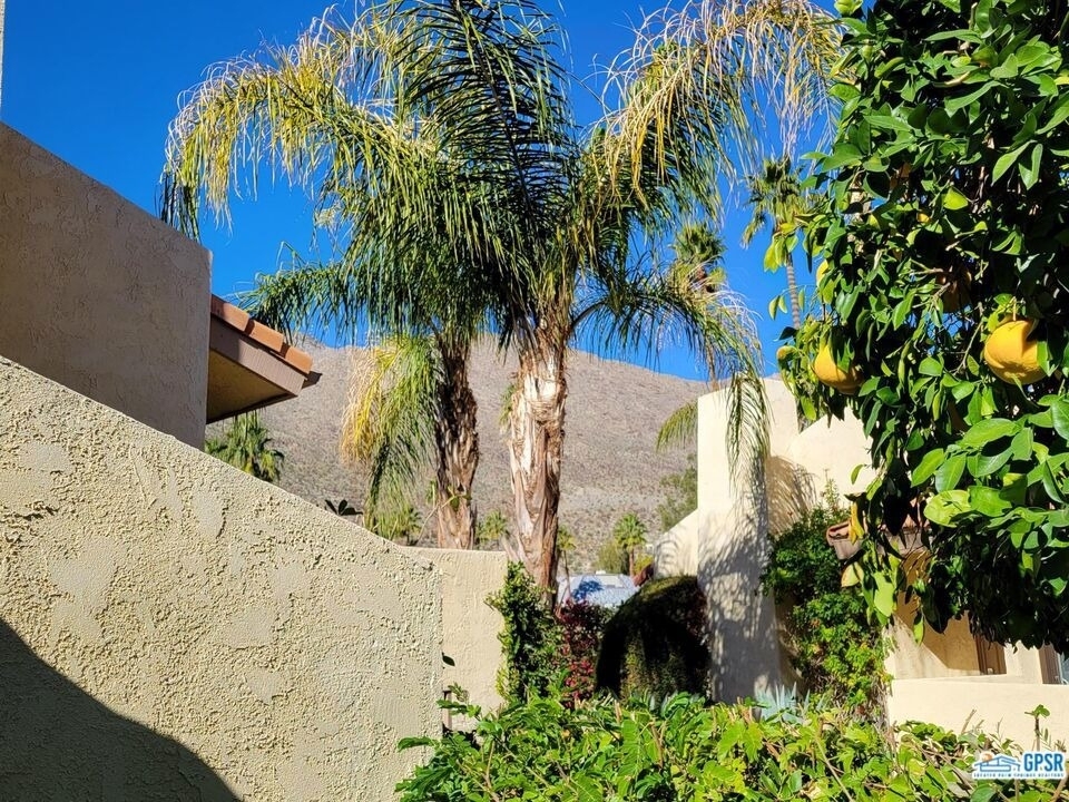 2600 S Palm Canyon Drive - Photo 9