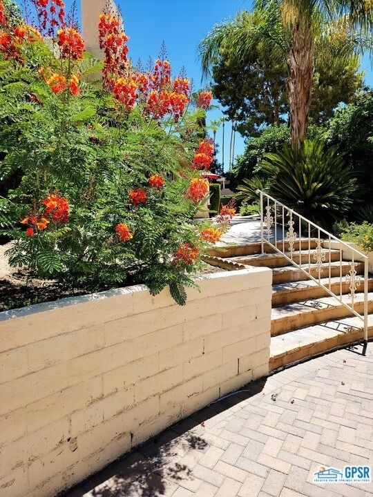 2600 S Palm Canyon Drive - Photo 2