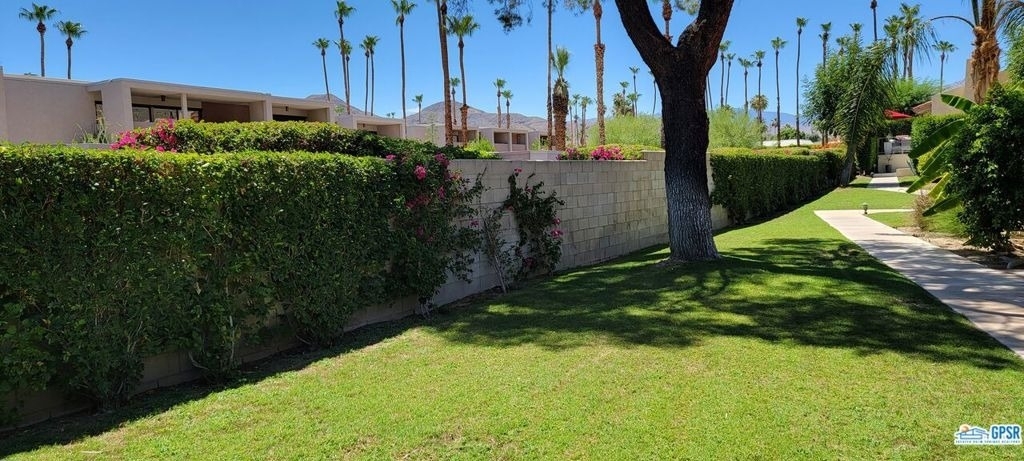2600 S Palm Canyon Drive - Photo 3