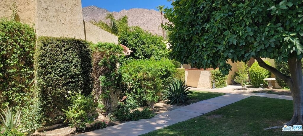 2600 S Palm Canyon Drive - Photo 4