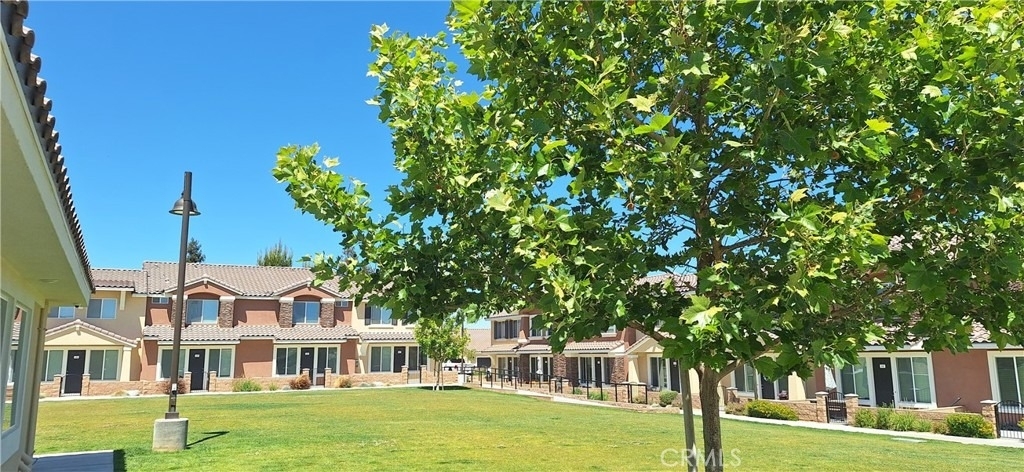 16850 Muscatel - Photo 0
