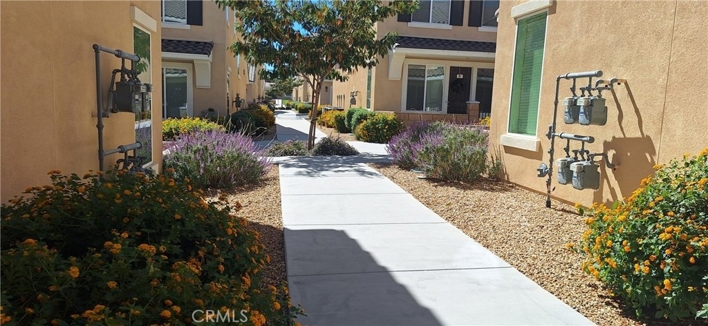 16850 Muscatel - Photo 25