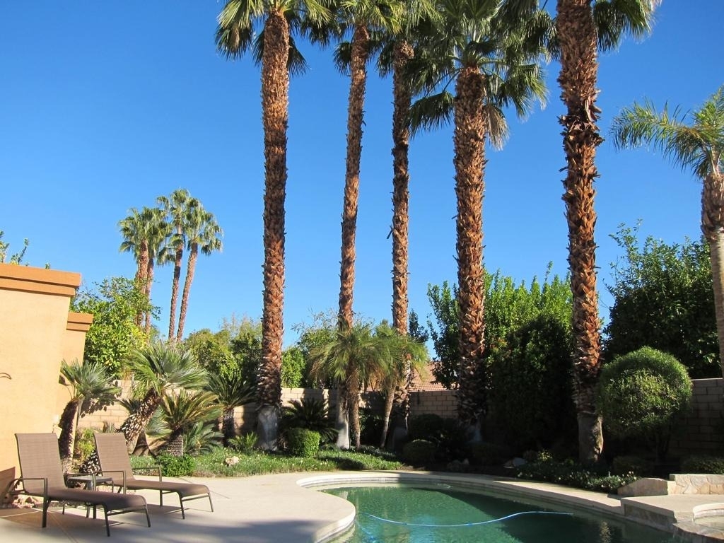 40556 Clover Lane - Photo 24