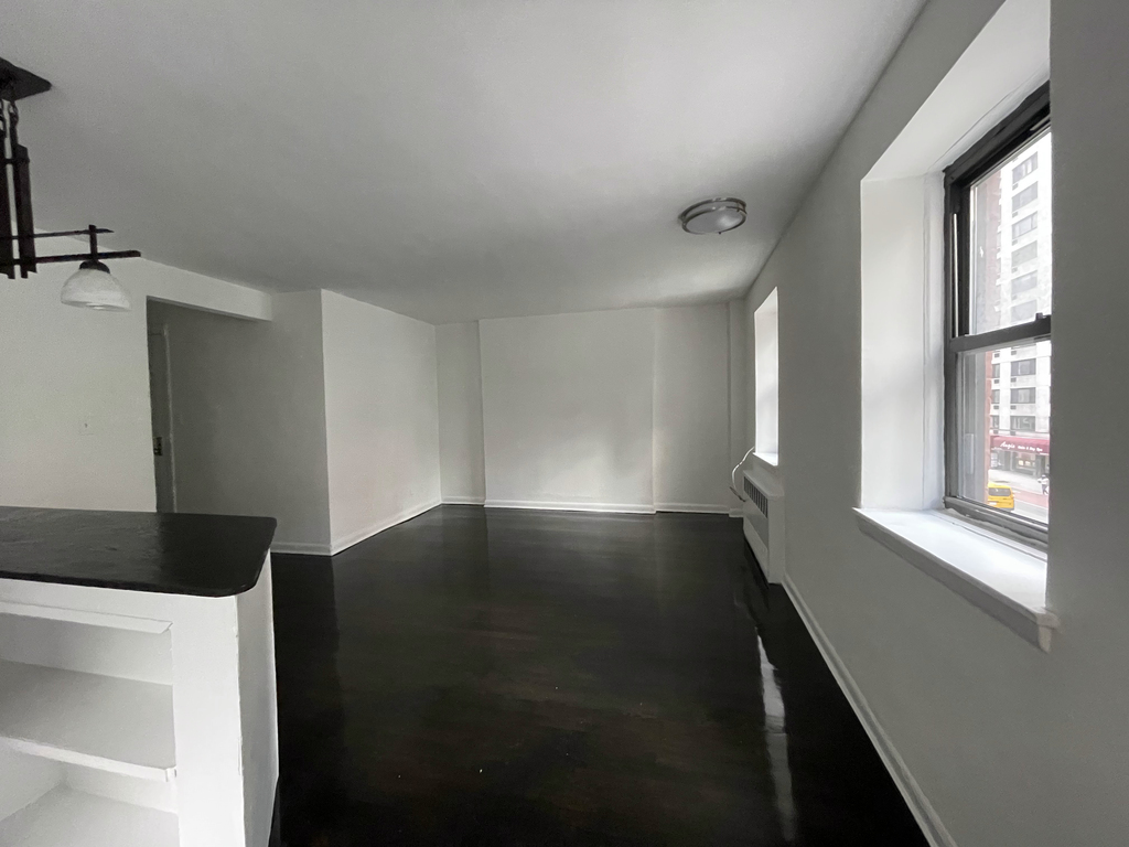 East 49th Street - Photo 3