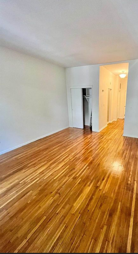336 East 87th Street - Photo 2