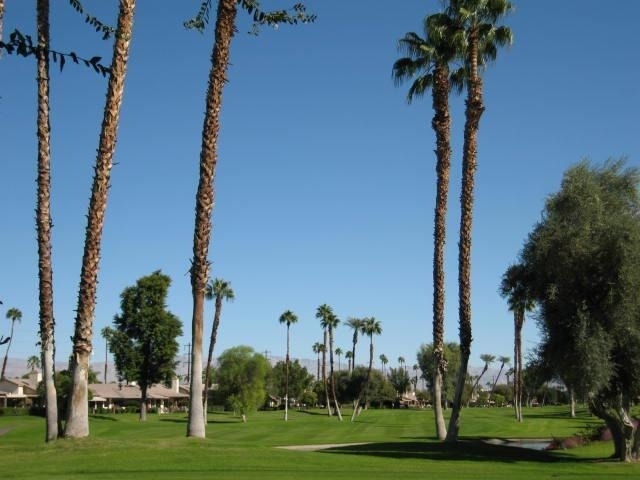144 Las Lomas - Photo 1