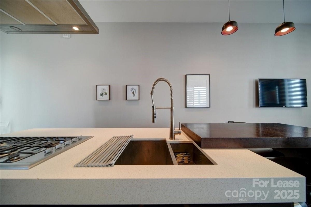 329 Viburnum Way Court - Photo 7