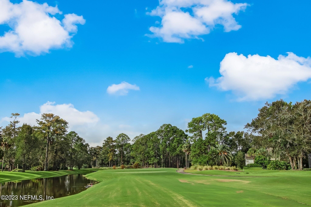 10025 Sawgrass Drive E - Photo 94