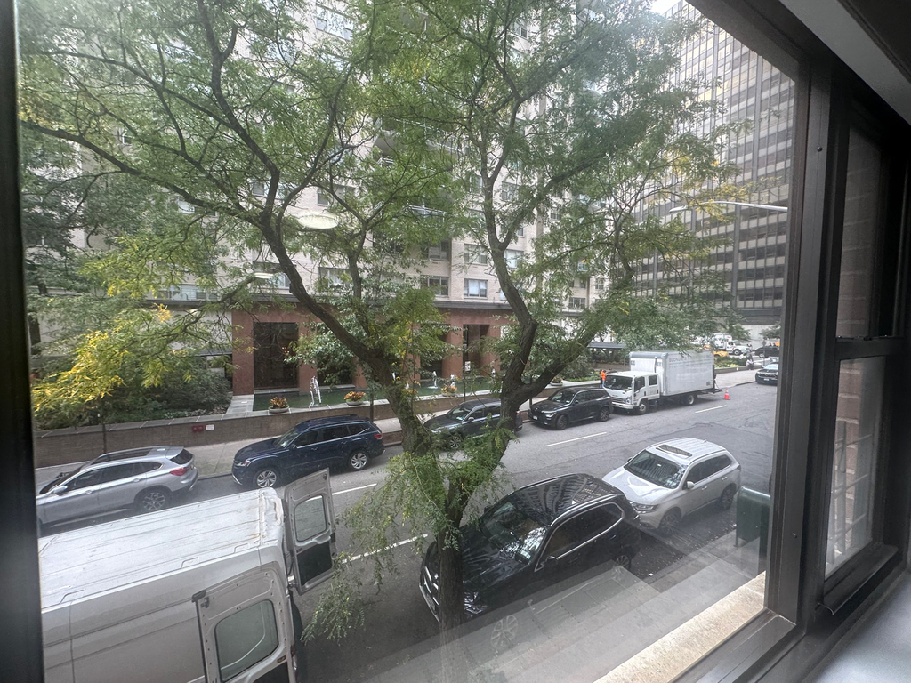 405 East 56th Street - Photo 3