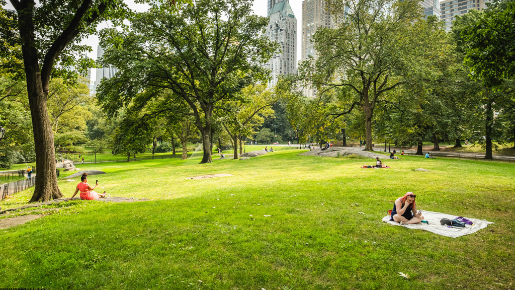 505 W. 54th St. - Photo 31