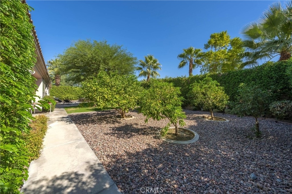 79690 Rancho San Pascual - Photo 64