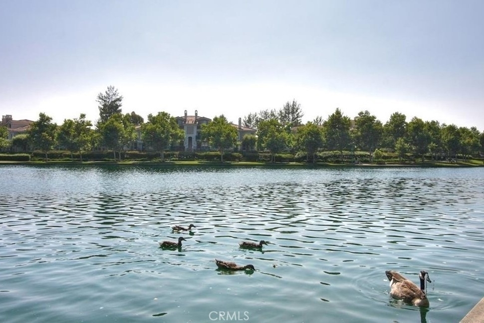 20891 Porter Ranch Road - Photo 42