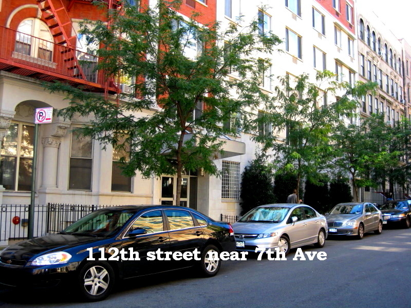 137 West 112th Street - Photo 5