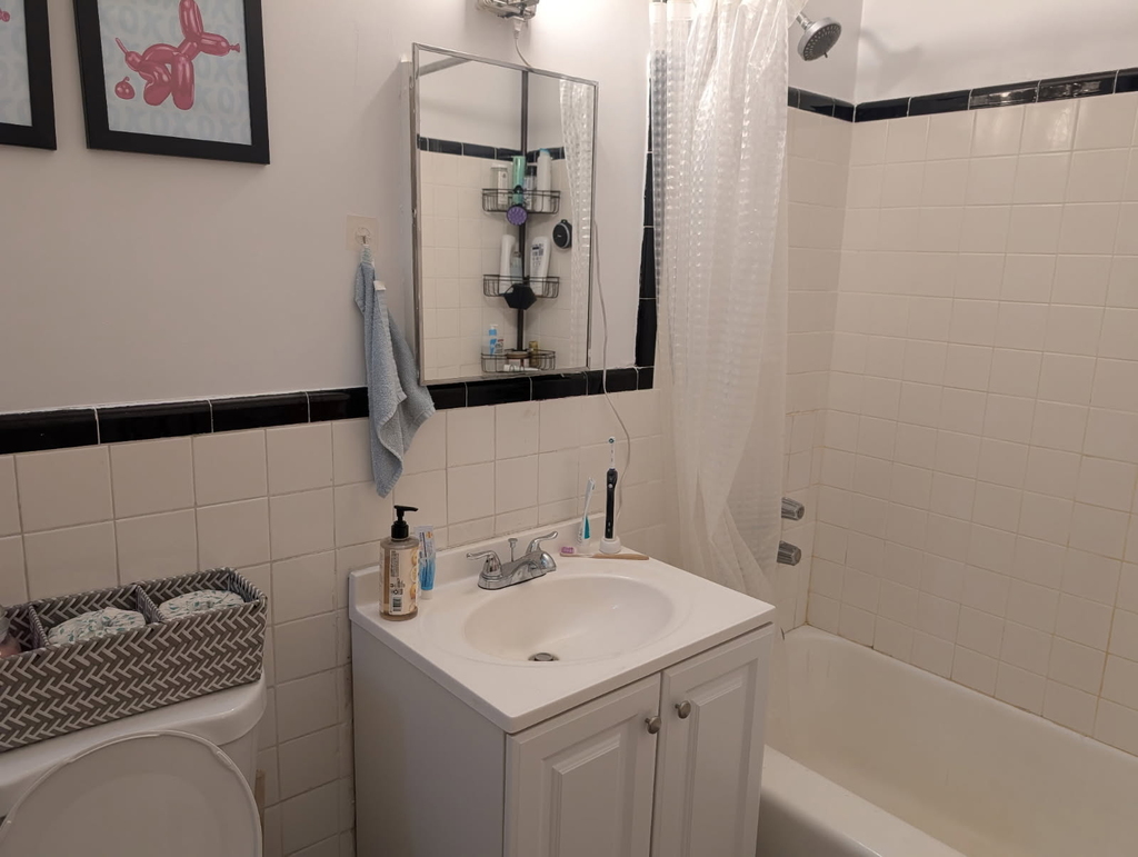 357 East 87th Street - Photo 4