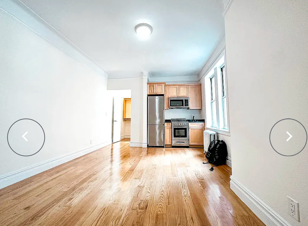 117 West 13th Street - Photo 1