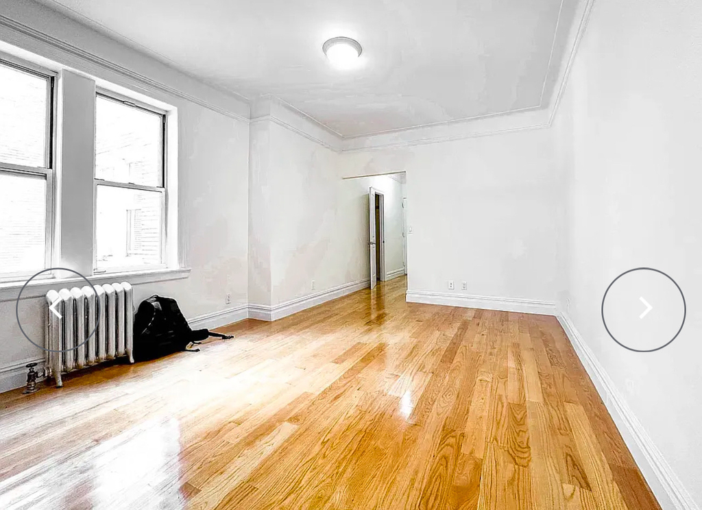 117 West 13th Street - Photo 2