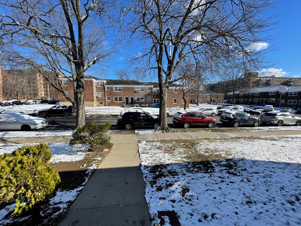 154-8 71st Avenue - Photo 4