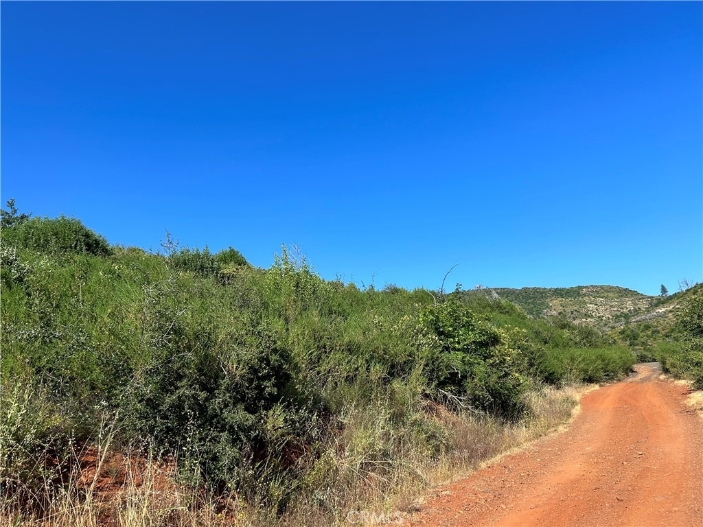13351 Hog Ranch Road - Photo 0