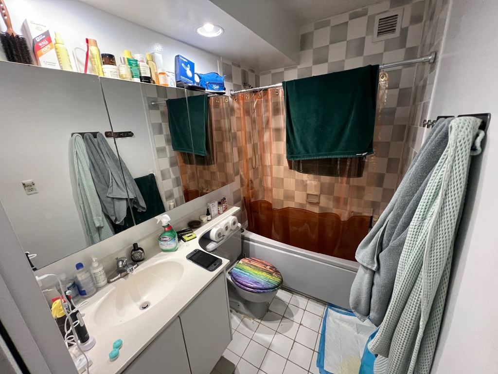 343 West 51st Street - Photo 13