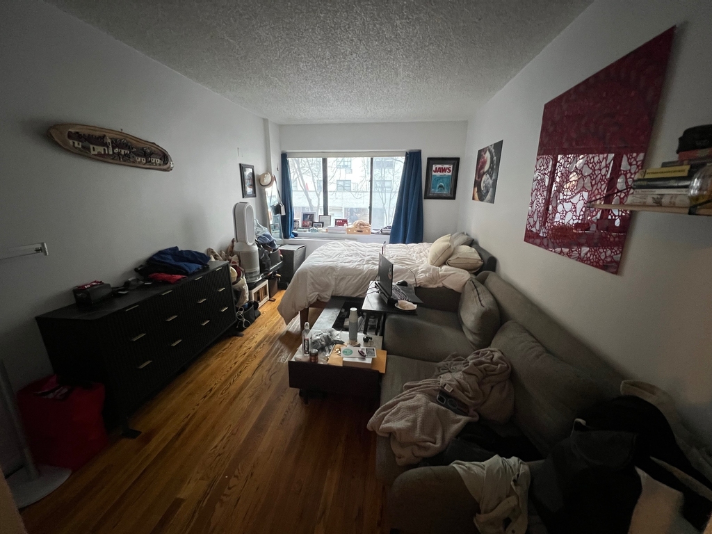343 West 51st Street - Photo 9