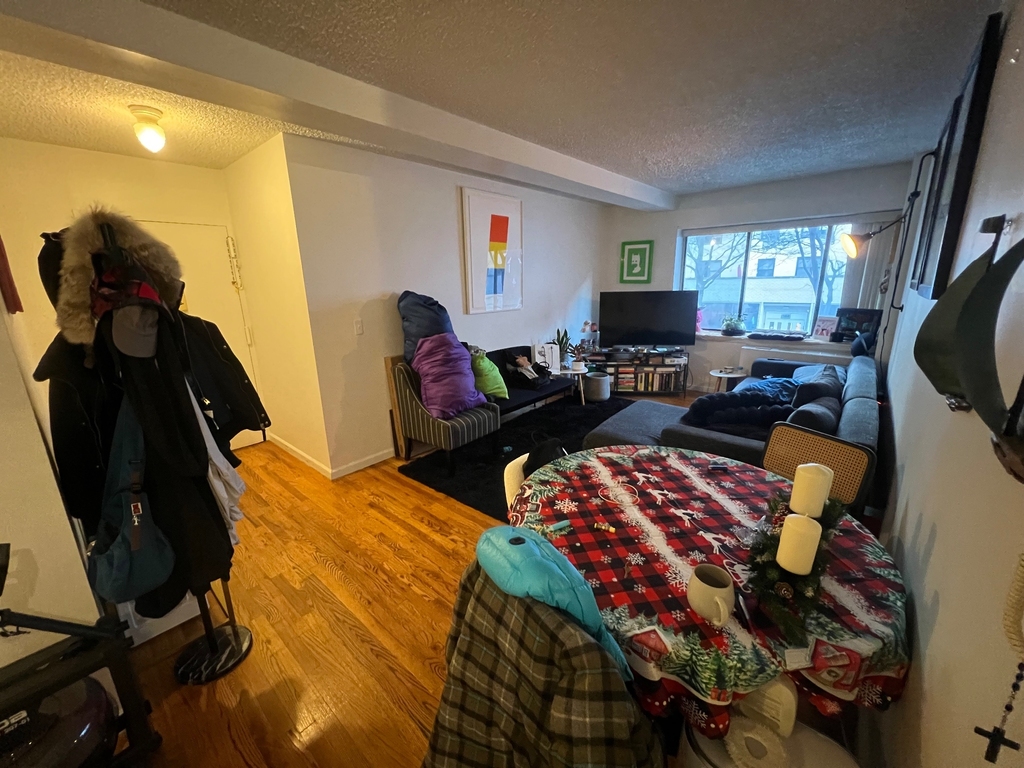 343 West 51st Street - Photo 4