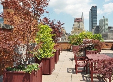 West 34th Street - Photo 4