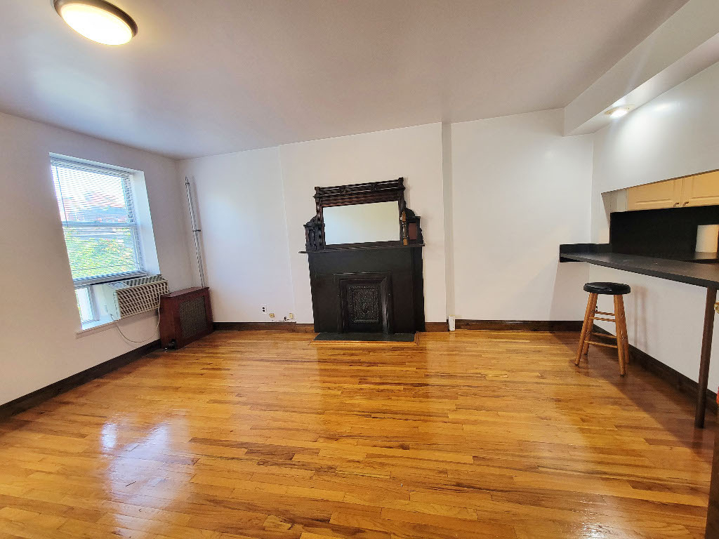 219 West 131st Street - Photo 3