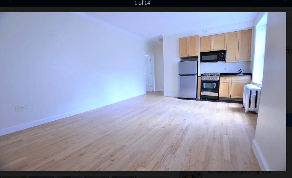 117 West 13th Street - Photo 0