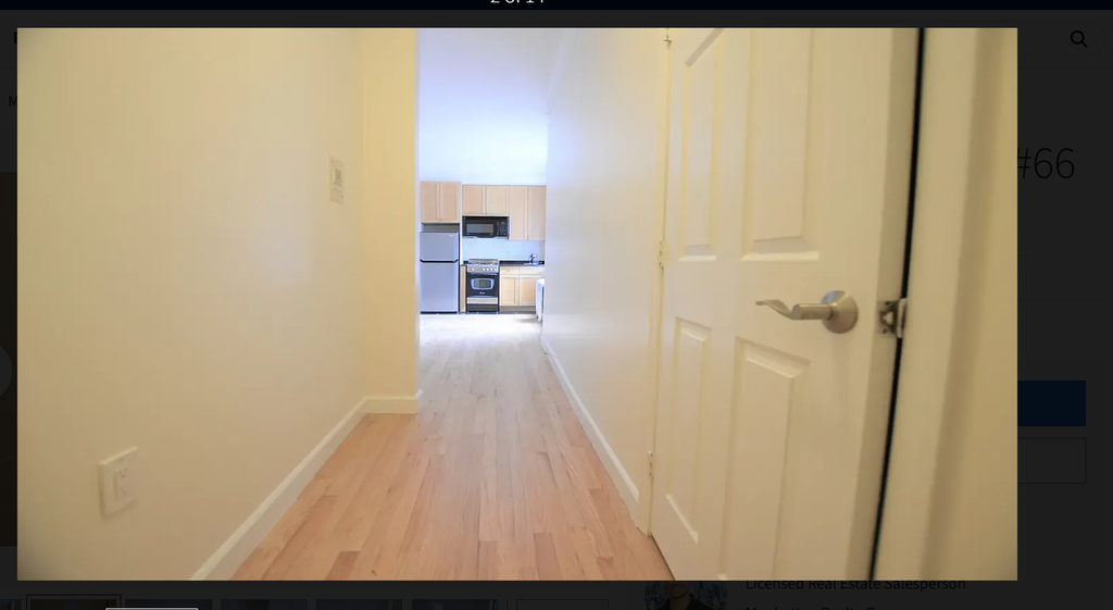 117 West 13th Street - Photo 1