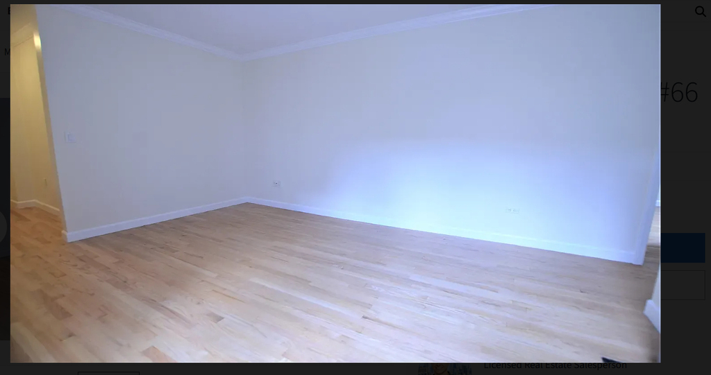 117 West 13th Street - Photo 2