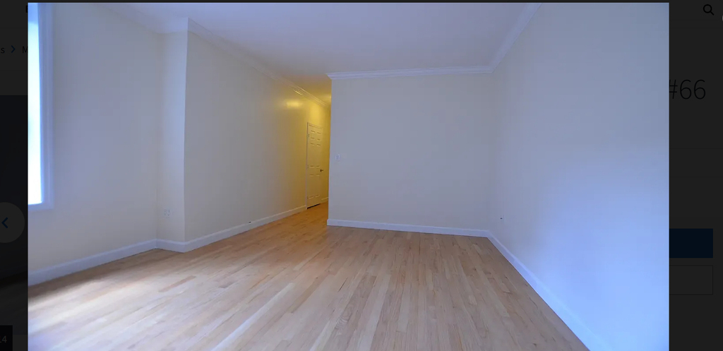 117 West 13th Street - Photo 6