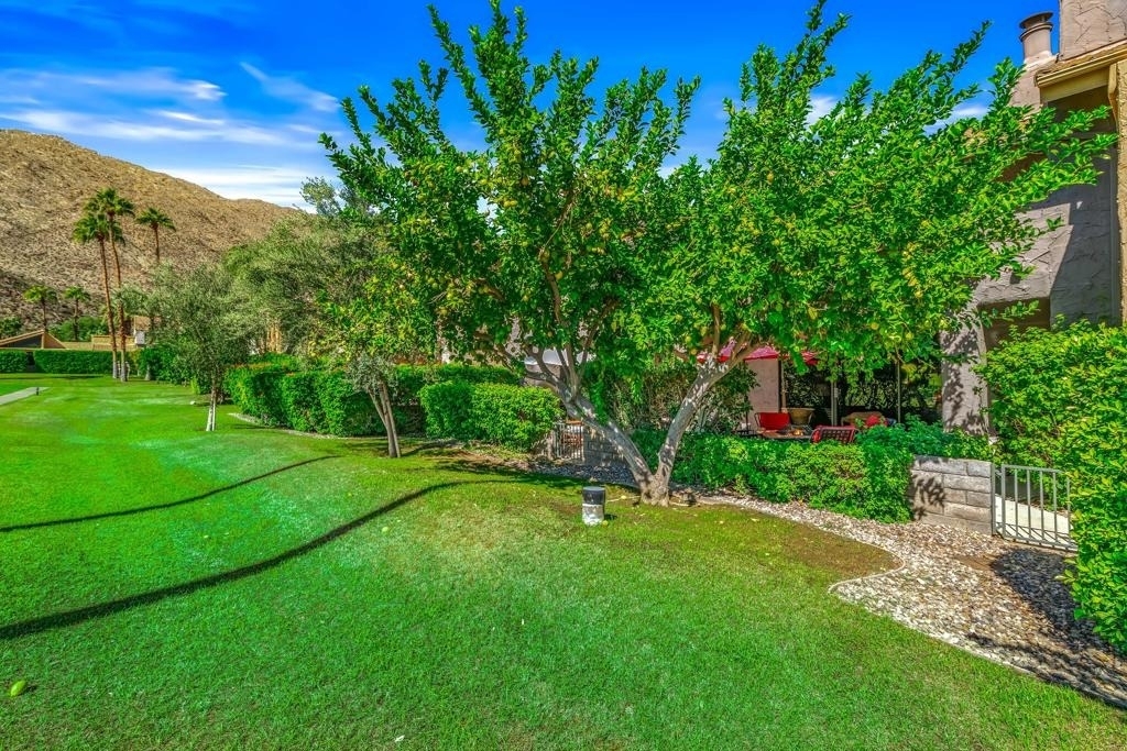 215 Calle Bravo - Photo 37