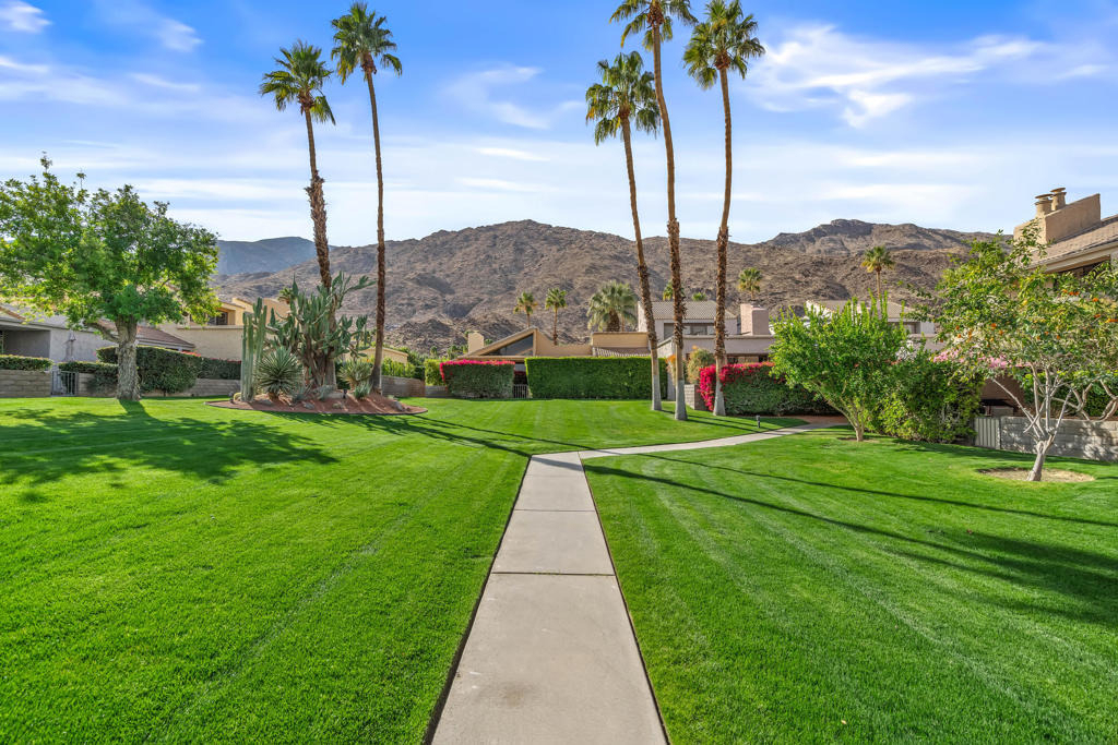 215 Calle Bravo - Photo 39