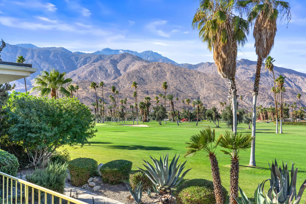 1350 E Murray Canyon Drive - Photo 33