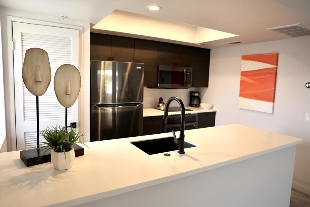 222 N Calle El Segundo - Photo 2