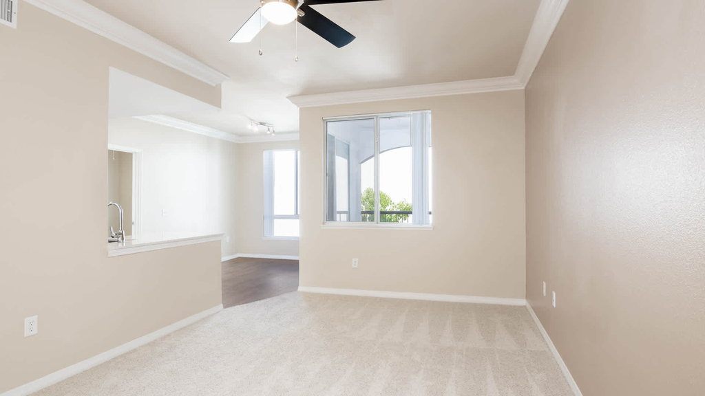 130 East Chapman Ave - Photo 4