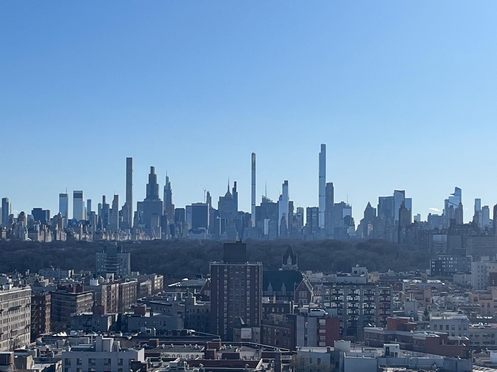 224 West 124th Street - Photo 12