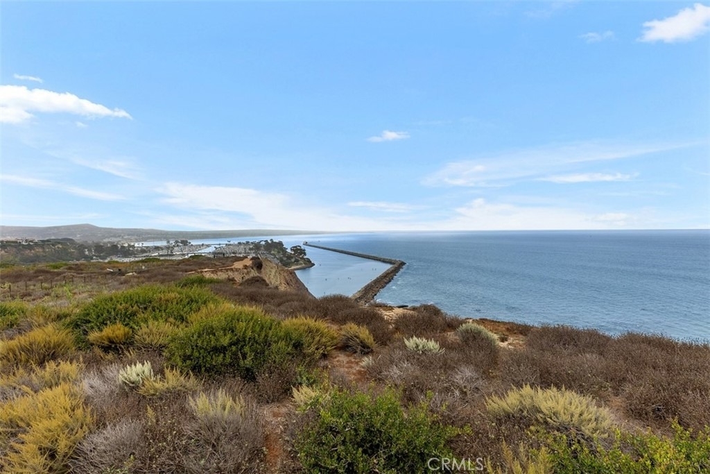 33782 Robles Drive - Photo 60
