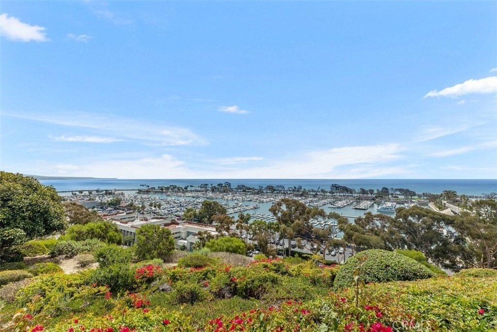 33782 Robles Drive - Photo 69