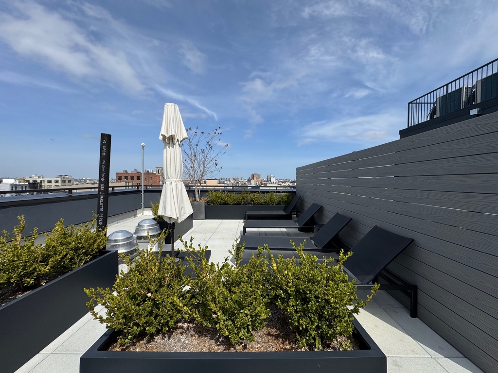 649 Hart Street - Photo 12