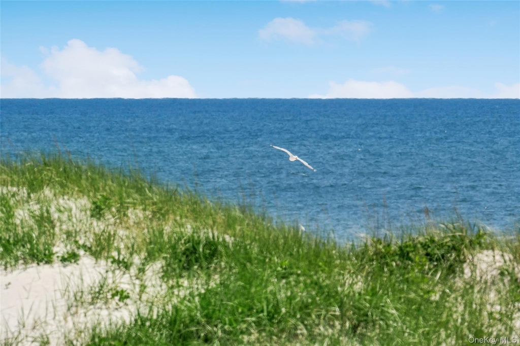 846 Dune Road - Photo 29