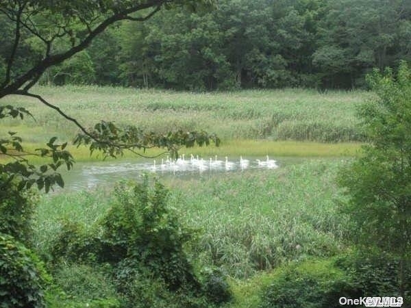 15 Old Field Road - Photo 10
