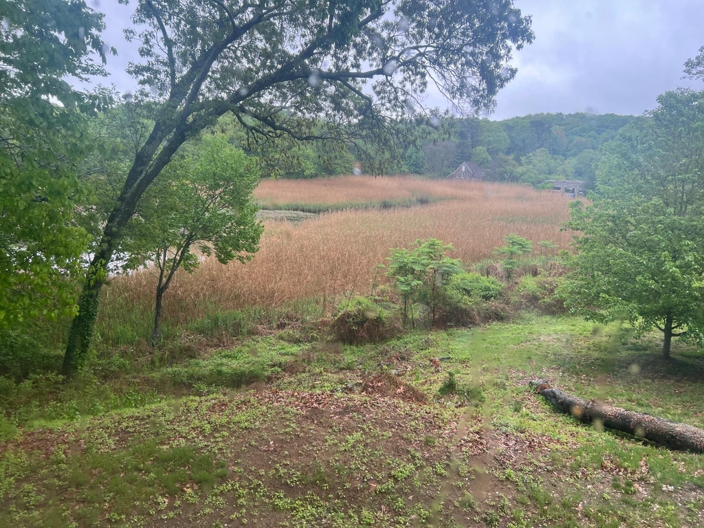 15 Old Field Road - Photo 8