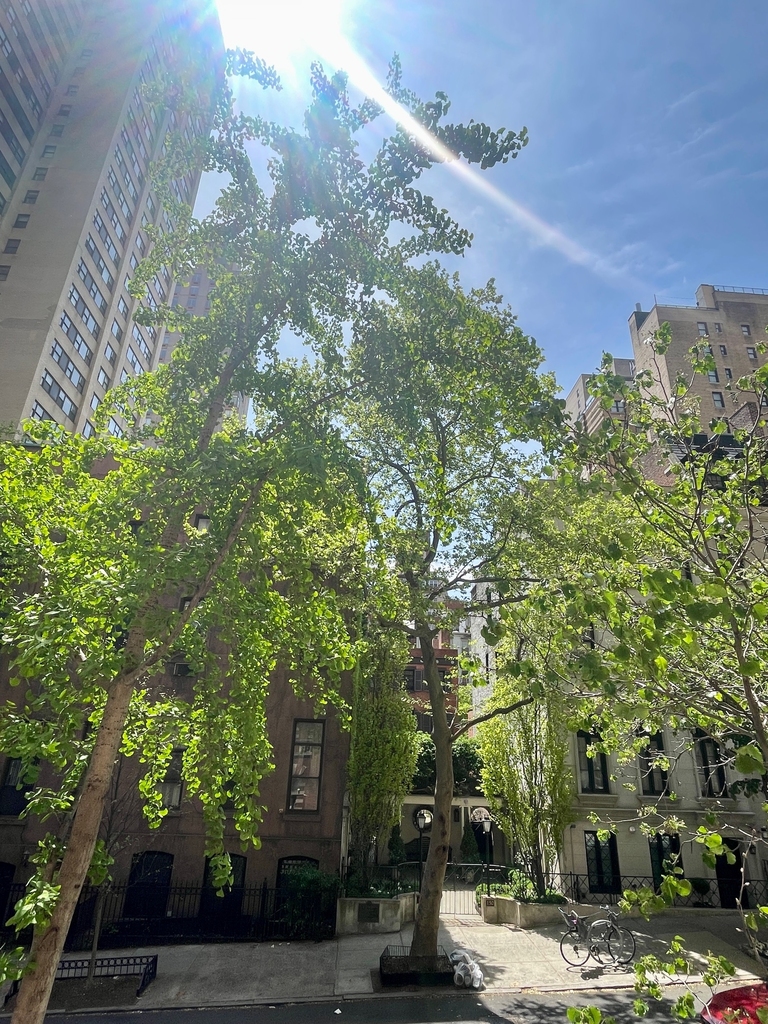 137 East 38th Street, 2E - Photo 1