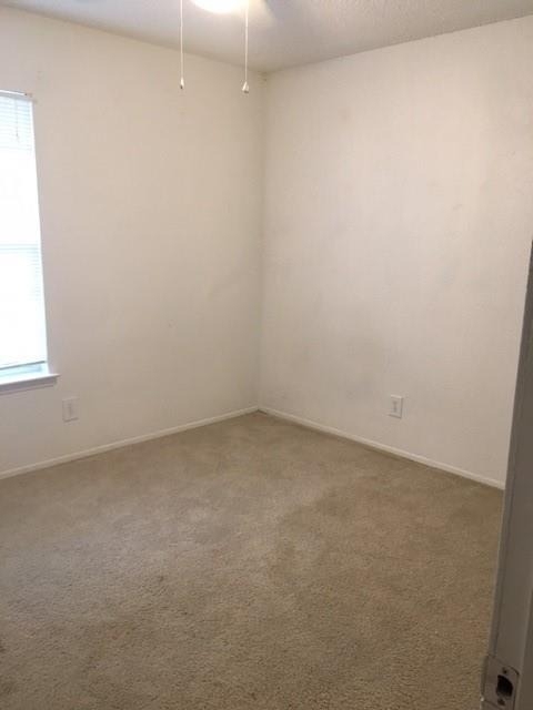 4810 West Wind Trl - Photo 12