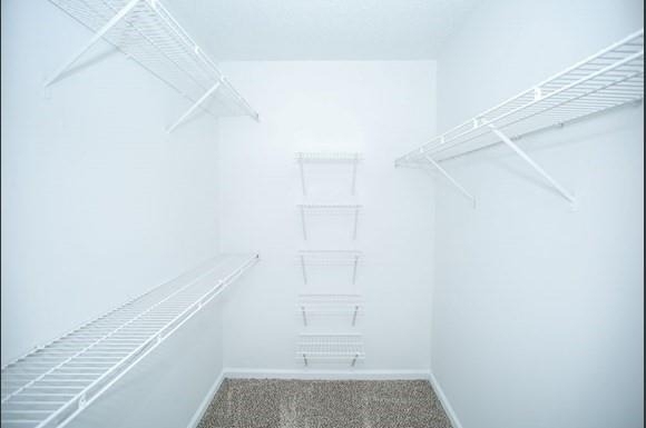 100 Dunwoody Gables Drive - Photo 8