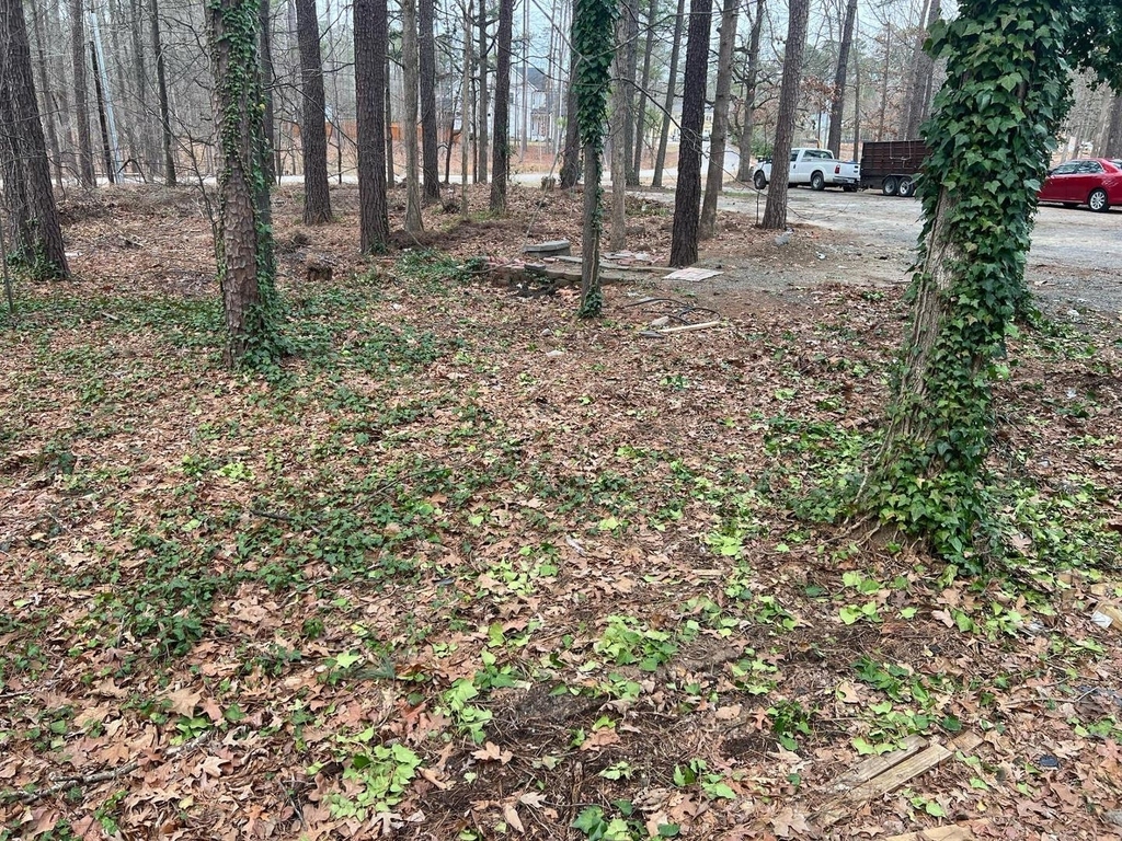118 Stella Court - Photo 4